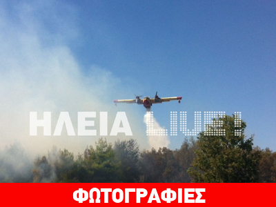 Πύργος: Σε εξέλιξη πυρκαγιά στο δάσος της Σπιάντζας Πύργος: Σε εξέλιξη πυρκαγιά στο δάσος της Σπιάντζας