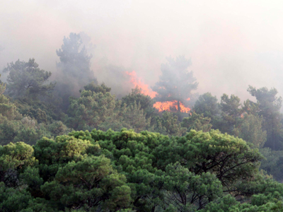Υπό έλεγχο η φωτιά στη Σάμο