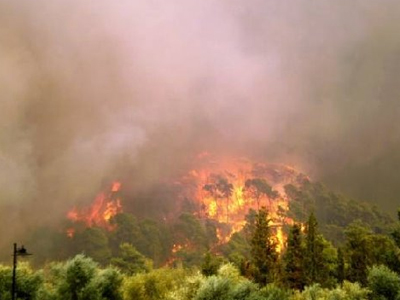 Σε εξέλιξη πυρκαγιά στη Μεσσηνία