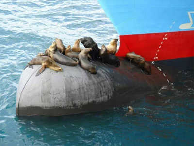 Χωρίς λόγια!