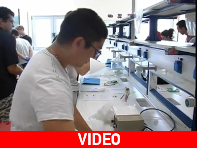 Κρήτη: Φωτοβολταϊκά από… μαρμελάδα!