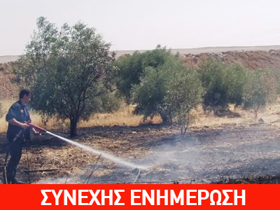 Πύρινα μέτωπα σε Αίγιο και Ζάκυνθο