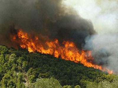 Υπό μερικό έλεγχο οι φωτιές σε Φθιώτιδα και Ηλιούπολη- Σε εξέλιξη στα Τρίκαλα