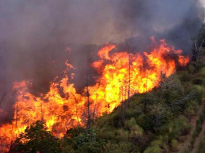 Φωτιά στη Σαλαμίνα