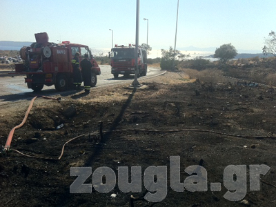 Υπό έλεγχο οι φωτιές σε Βάρκιζα και Σούνιο