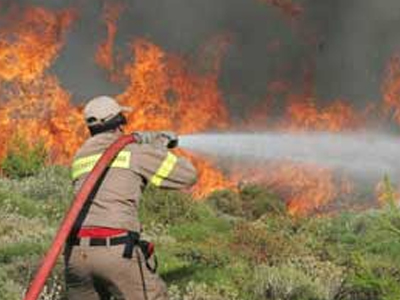 Πυρκαγιά σε δασική έκταση στην Ηλεία