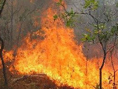 Φωτιά στο Σχίνο Κορινθίας