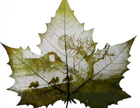 Με καμβά ένα… φύλλο