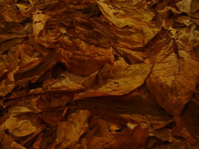 Ε.Α: Άρση των περιορισμών για τους καπνοπώλες