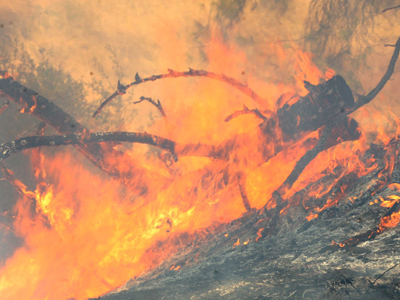 Υπό μερικό έλεγχο η φωτιά στον Γαλατά