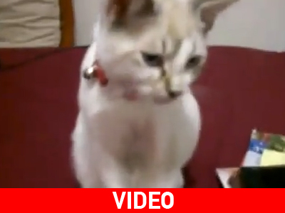 Γυναίκα γεννιέσαι, δεν γίνεσαι!