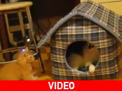 Του έδειξε ποιος κάνει κουμάντο!