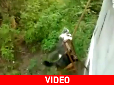 Αυτοσχέδιο γατοασανσέρ!