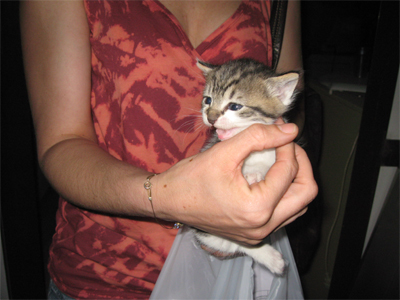 Ποιος θα φιλοξενήσει τη μανούλα με το μωράκι της;