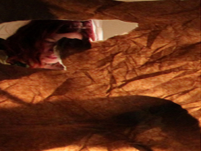 «Ο θάνατος του Αντονέλο»