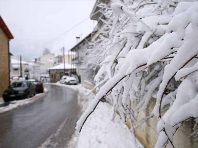Κλειστά τα σχολεία στην Αγιά Λάρισας