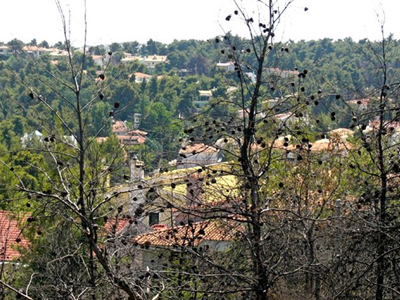 Ρυθμίσεις για τη δόμηση πρώην δασικών εκτάσεων