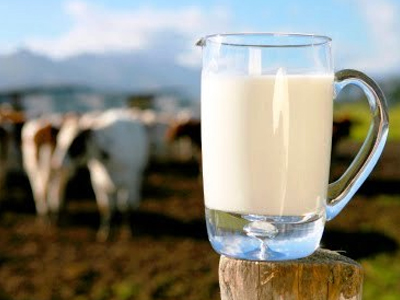 «Το Γάλα και Τα Προϊόντα Του»