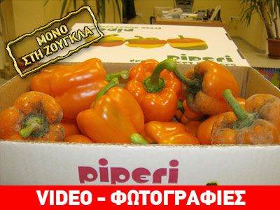 Σαρακοστή στις παραλίες!