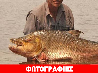 Ζώα που προκαλούν τρόμο!