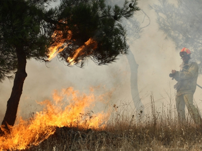 Νεκρός από φωτιά στη Χαλκιδική