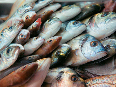 Τα οφέλη από τα Ωμέγα-3 λιπαρά οξέα