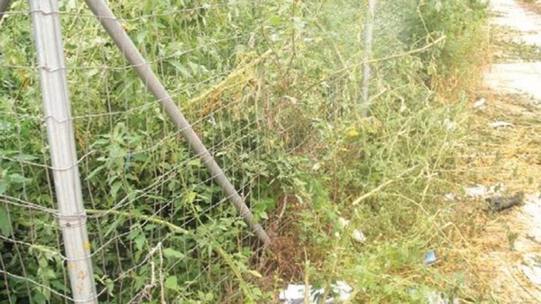 Σπίτια – χωματερές, οικόπεδα – ζούγκλες στο κέντρο του Βόλου