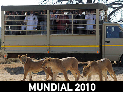 Τρέμουν σαν γάτες οι Γερμανοί…