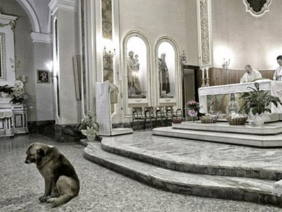 Πέθανε ο πιο πιστός σκύλος του κόσμου