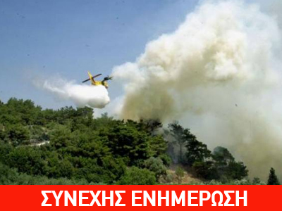 Πυρκαγιά στην Ηλεία Πυρκαγιά στην Ηλεία