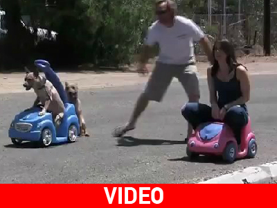 Κόντρα μεταξύ σκύλου και ανθρώπου