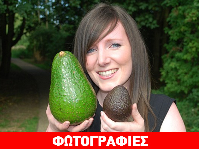 Αβοκάντο-γίγας!
