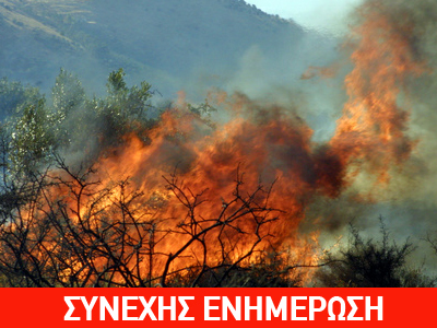 Νέα πύρινα μέτωπα σε Μαραθώνα – Πεντέλη – Παλλήνη – Αγ. Αποστόλους Νέα πύρινα μέτωπα σε Μαραθώνα – Πεντέλη – Παλλήνη – Αγ. Αποστόλους