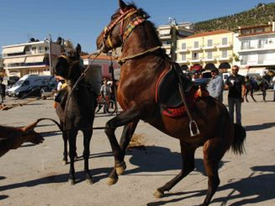 Έφτασαν στη Θεσσαλονίκη οι ιππείς από την Πιερία