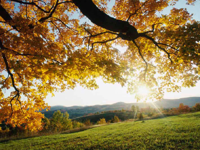 Την Κυριακή υποδεχόμαστε «επισήμως» το φθινόπωρο