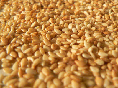 Απαγόρευση εισαγωγής σουσαμιού με σαλμονέλα