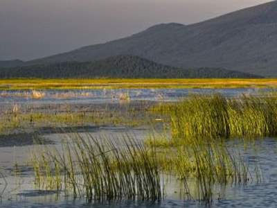 Γεμάτος σκουπίδια ο Αξιός