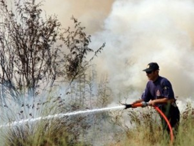 Νέο πύρινο μέτωπο στη Μαγνησία