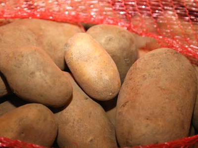 Επίσημη απάντηση εθελοντών της πατάτας στο Κ.Κ.Ε.