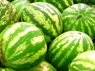 Αυστηροί έλεγχοι σε φορτία με καρπούζια