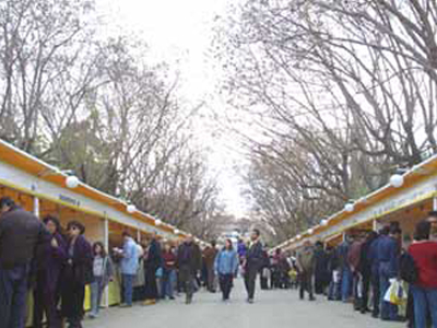 Ξεκινά τη Δευτέρα η Γιορτή του Βιβλίου