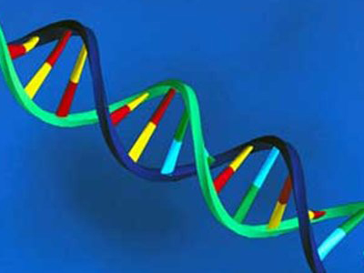 Γονιμότητα: Mεταλλάξεις γονιδίου βρέθηκαν σε μικρό ποσοστό στείρων ανδρών