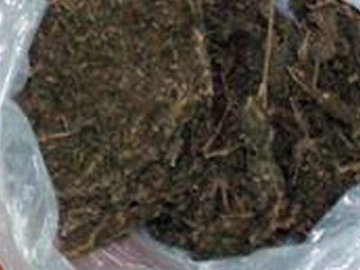 Βρήκε ένα κιλό κάνναβη