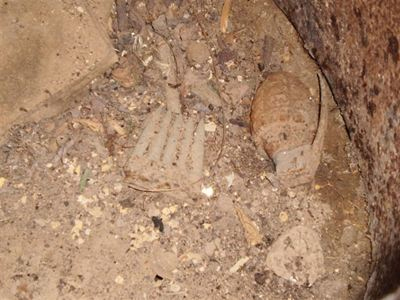 Τι βρέθηκε στην ιρακινή πρεσβεία