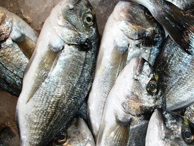 Κατάσχεση αλιευμάτων στην ιχθυόσκαλα Ν. Μηχανιώνας