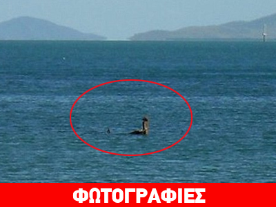 To τέρας του Λοχ Νες στην Αυστραλία; To τέρας του Λοχ Νες στην Αυστραλία;