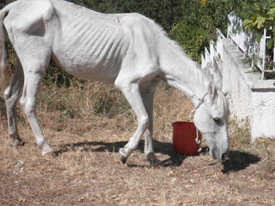 Μήνυση στο «κολαστήριο» της Χερσονήσου