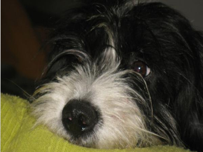 Χαρίζεται η Ήρα