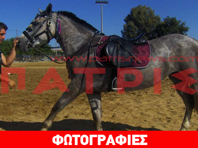 Ανδραβίδα: Φαντασμαγορικό θέαμα στην Ιππική Έκθεση