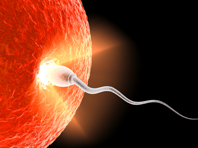 Η προσωπικότητα επηρεάζει τη γονιμότητα